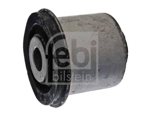 Mounting, control/trailing arm